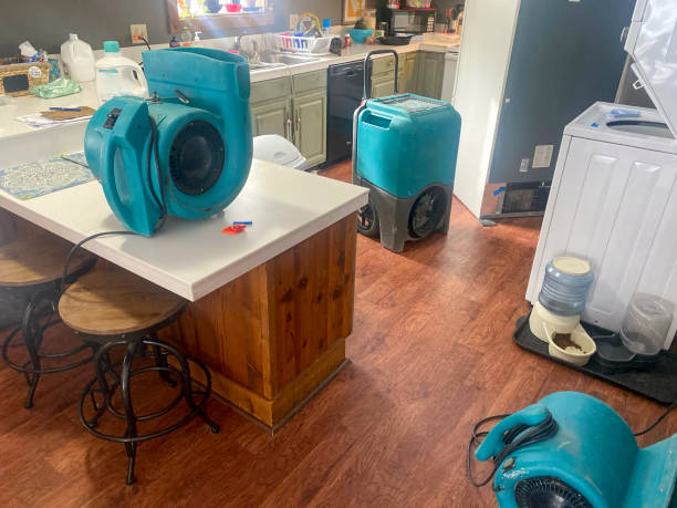 Best Water damage restoration near me  in South Lake Tahoe, CA