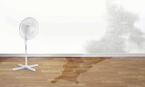 24/7 water damage repair in South Lake Tahoe, CA