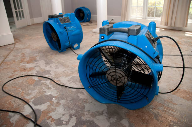  South Lake Tahoe, CA Water damage restoration Pros