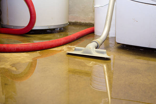 Best Flooded house restoration  in South Lake Tahoe, CA