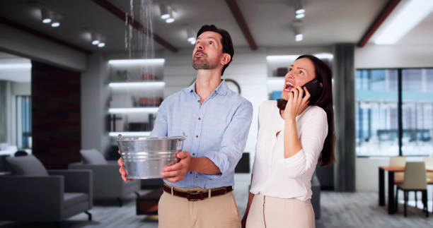 Best Commercial water damage restoration  in South Lake Tahoe, CA